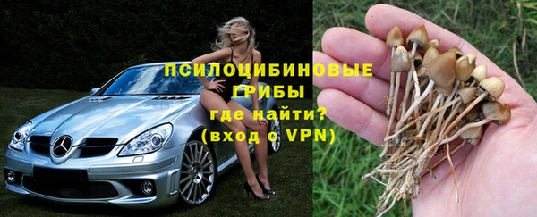 гашик Покров