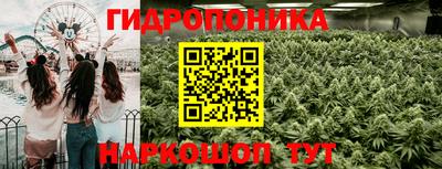 метадон Волжский