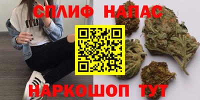 ешки Абакан