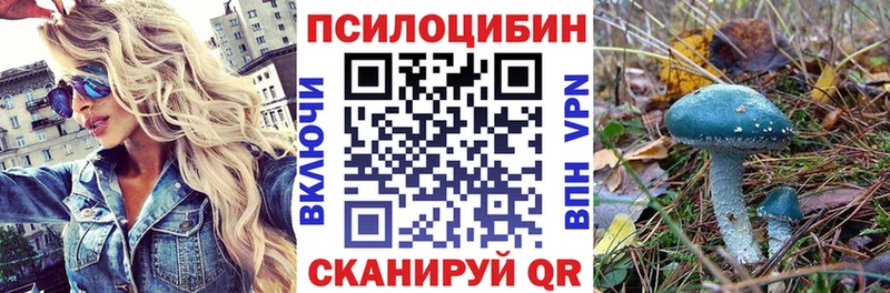 Галлюциногенные грибы Cubensis Ангарск