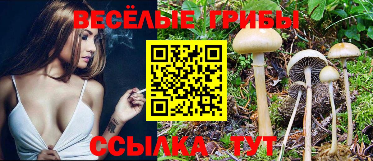 Галлюциногенные грибы мицелий Ангарск