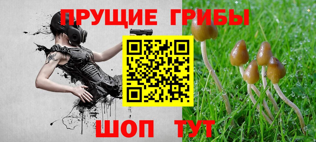 Ангарск  Псилоцибиновые грибы Psilocybine cubensis  Вход с VPN 