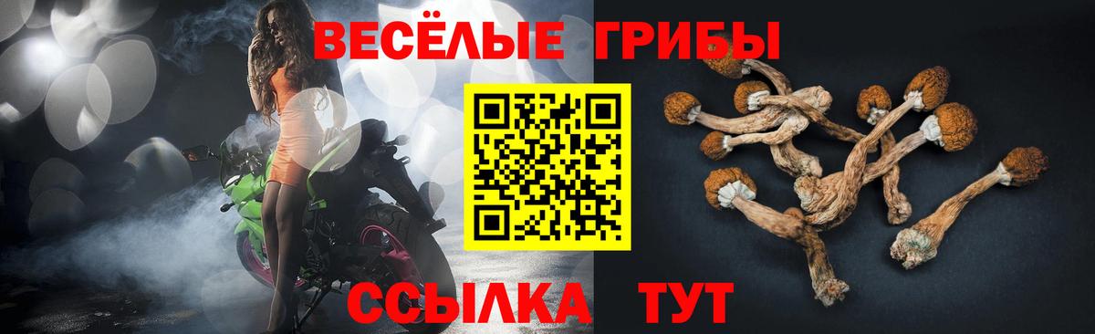 Псилоцибиновые грибы мицелий  Псилоцибиновые грибы Psilocybine cubensis  Вход с VPN  Ангарск 